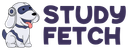 StudyFetch
